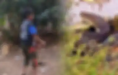 Miliki Kebiasaan Aneh Gigit Ular Sampai Mati, Tim Medis Ungkap Penyakit yang Diidap Rizki Sebenarnya