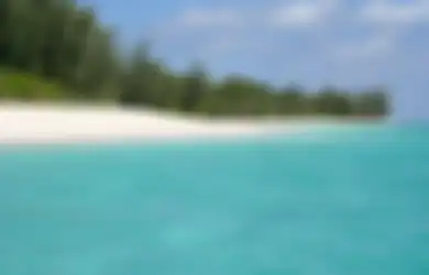 Dulu Ngotot Mau Mandiri, Timor Leste Malah Terpuruk Usai Lepaskan Diri dari Indonesia, Bukannya Makmur Malah Jadi Negara Termiskin