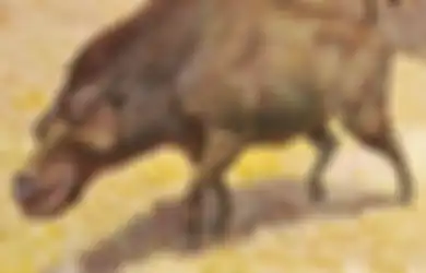 Bobotnya Bisa Capai 900 Kg, Inilah 'Babi Neraka' Spesies Seukuran Kuda Berahang Mirip Buaya dengan Gigi Setebal Pergelangan Tangan Manusia
