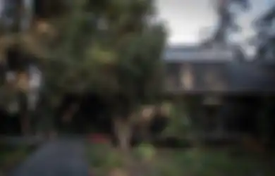 Jauh dari Kesan Horror, Rumah Ini Terletak di Tengah Hutan Belantara
