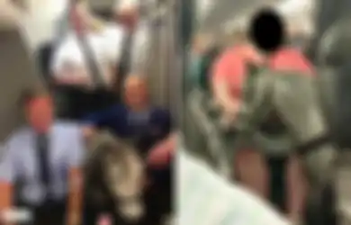 Penumpang Terkejut Bukan Main, Seekor Kuda Poni Muncul di Kabin Pesawat, Ternyata Bukan Hewan Sembarangan