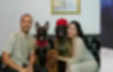 Geger Kasus ART Diserang Anjing Majikan sampai Tewas, Begini Kronologi dan Juga Huniannya yang Paling Disorot Media