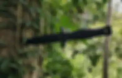 Tutup Mata Istrinya dan Bilang Punya Hadiah, Seorang Suami Justru Tikam Punggungnya, Begini Respon Istrinya yang Tak Terduga