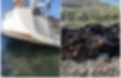 Mau Selundupkan Narkoba Senilai Rp10 Triliun, 2 Orang Ini Justru Terdampar di Pulau Terpencil, Ini yang Mereka Lakukan Saat Ditemukan Polisi