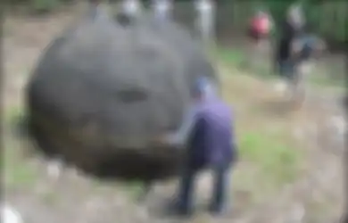 Ada yang Seberat 16 Ton, 300 Batu Bulat Kuno Raksasa yang Ditemukan di Perkebunan Pisang Menyimpan Misteri, Apa Fungsinya?