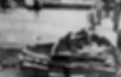 Foto Ini Dijuluki Sebagai 'Bunuh Diri Terindah' Sepanjang Masa, Rupanya di Sinilah Letak Keindahannya