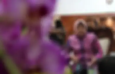 Diam-diam Blusukan Tanpa Kawalan Pemda, Mensos Risma Ngamuk Pergoki Bansos Warga Disunat Sampai Rp 50 Ribu Per Paket: Siapa, Sebut Namanya!