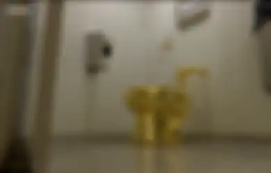 Toilet Emas 18 Karat di Istana Ini Dicuri, Padahal Sebelumnya Ada yang Bilang Tidak Diragukan Kemanannya