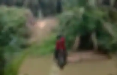 Daripada Memutar Sejauh 18 Kilometer, Berikut Fakta Seputar 'Motor Flying Fox' yang Seberangi Sungai Selebar 14 Meter