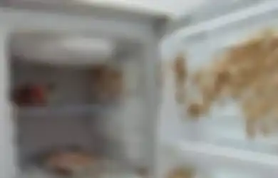 Bisa Bikin Kulkas Meledak, Jangan Coba-Coba Simpan 3 Jenis Minuman ini di Dalam Freezer
