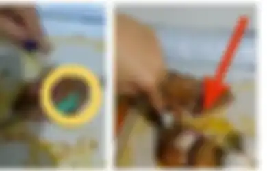 Masih Ingat Video Daging Rendang yang Diduga Berisi Narkoba? Ternyata Ini Fakta Sebenarnya, Bukan Terjadi di Indonesia!
