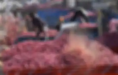 Harga Bawang Merah Melonjak Tajam Menyalip Harga Apel, Apa yang Sedang Terjadi di India?