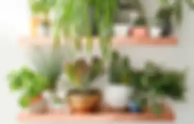 Ibu-ibu Bisa Menata Ulang Furnitur pada Desain Rumah Minimalis, Mulai dari Rp 200 Ribuan!