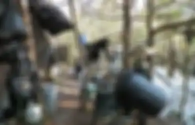 'Kabur' ke Hutan dari Kehidupan Normal selama 27 Tahun, Pria Ini Membuat Orang-orang Terkejut karena Punya Barang-barang Modern, Akhirnya   Dipenjara setelah Rahasianya Terbongkar