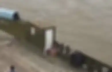Horor, Bisa Berenang Menyerupai Ular, 'Makhluk' Sepanjang 20 Meter Ini Pernah Muncul ke Permukaan Sungai, Makhluk Apakah Sebenarnya?