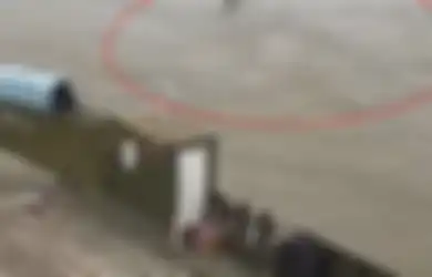Berenang Meliuk-liuk Seperti Monster Ular Raksasa, 'Makhluk' yang Panjangnya Diperkirakan 20 Meter Ini Sempat Muncul ke Permukaan Sungai, Apa Sebenarnya?