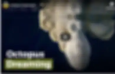 (VIDEO) Gurita Ini Berganti-ganti Warna saat Sedang Tidur, Seolah Menggambarkan Apa yang Sedang Dimimpikannya, Menakjubkan!
