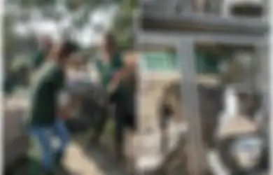 Kisah Memilukan Anjing-anjing yang Ditampung untuk Dibantai, 'Tak Heran Mereka Putus Asa untuk Melarikan Diri'