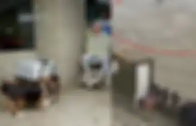 BERITA POPULER: Hal Ajaib yang Terjadi Ketika Orang yang Divonis Mati Bertemu dengan Anjingnya hingga 'Monster Air' yang Panjangnya Mencapai 20 Meter