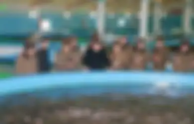 Kim Jong-un Eksekusi Jenderalnya dengan Melemparnya ke Tangki Berisi Ratusan Piranha, Intel Inggris: 'Klasik'