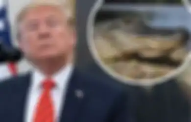 Rencana Gila Donald Trump, Ingin Kelilingi Amerika dengan Parit Berisi Buaya dan Ular Berbisa Demi Menghindari Imigran Ilegal