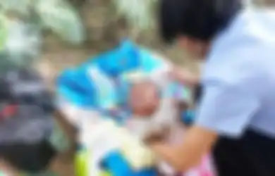 Kisah Ajaib Bayi yang Dibuang Hingga Dikerubuti Semut, Tapi Selamat dari Maut Karena Hal Ini