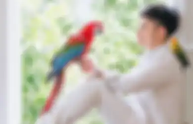 Mewah Bak Istana Hingga Miliki Kebun Binatang Pribadi, Begini Nampak Rumah Sepupu Raffi Ahmad yang Bernilai $20.000.000