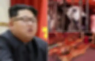 Tak Hanya Minta 'Sumbangan' Tinja, Kim Jong-Un Juga Perintahkan Rakyatnya Rutin Makan Daging Anjing, Duh Untuk Apa Lagi?