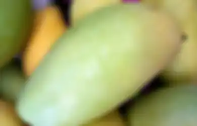 Gunakan Mangga untuk Lindungi Kulit dari Kerusakan Akibat Radiasi Sinar Ultraviolet, Begini Caranya Menggunakannya!