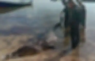 Hendak Pulang ke Rumah, Kapal Pria Ini Diserang Buaya 3 Meter, Diseret ke Air, Kemudian Dibunuh