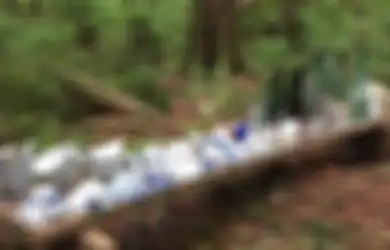 Sebuah Desa Jepang Ditemukan di Hutan Kanada, Kok Bisa?