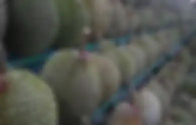 Mendapat Paket Berbau Khas Buah Asli Indonesia Ini, Enam Pekerja Pos Jerman Sampai Dilarikan ke Rumah Sakit dalam Kondisi Kritis