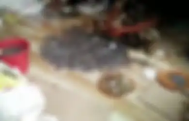 Antarkan Jenazah Pengemis, Polisi Malah Kaget Temukan Berkarung-karung Uang Koin Hasil Mengemisnya Ternyata Selama Ini Disimpan, Setelah Dihitung Jumlahnya Fantastis