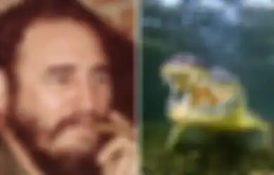 Buaya Peliharaan Fidel Castro 'Pejuang Revolusi Kuba' Menggigit Lengan Seorang Pria, Buaya Sudah Beranak 11 Sejak Tiba di Swedia