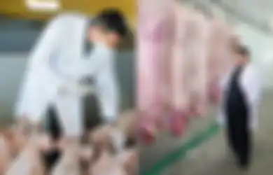 Disebut 'Kiamat yang Disembunyikan Kim Jong-Un', Virus yang Diduga Memicu Kematian 27 Ribu Babi di Sumut Ini Belum 'Di-declare' Pemerintah, Ini Dampak Buruk yang Bisa Terjadi