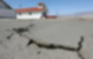 Peringatan Sudah Dicabut, Tsunami Diberitakan Akan Terjang Maluku Sehubungan Terjadinya Gempa, Simak Cara-cara Untuk Hadapi Kedua Bencana Tersebut!