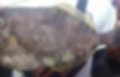 Bikin Geger, Warga Ambon Tak Sengaja Temukan Ikan dengan Tulisan 'Ambon', Kemunculan Ikan Itu Juga dengan Cara Aneh