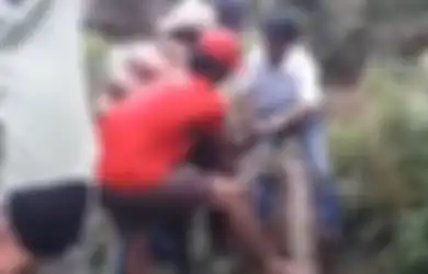 Cerita di Balik Penemuan Ular Piton Seberat 200 Kilogram dan Panjang 7 Meter, hingga Diangkut dengan Ekskavator