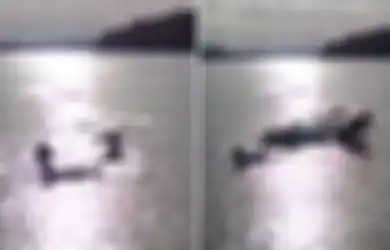 (Video) Tak Tahu dari Mana Datangnya, Anjing-anjing yang Tengah Bermain Tiba-tiba Disambar Makhluk 'Monster' Ini
