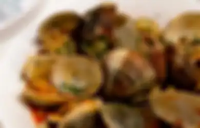 Doyan Makan Kerang? Ternyata Banyak Manfaatnya Bagi Kesehatan, nih!