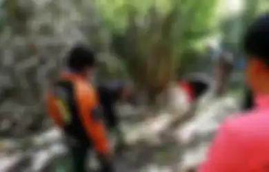 Wisatawan Ketakutan Lihat Pemandu Wisata Disengat Tawon Hingga Mati, Para Tawon Kemudian 'Berpesta' di Tubuhnya Selama 4 Hari