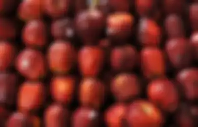 Bisa Bikin Mati Muda, Jangan Coba-coba Makan Buah Apel dalam Kondisi Tubuh Seperti Ini, Hindari Segera!
