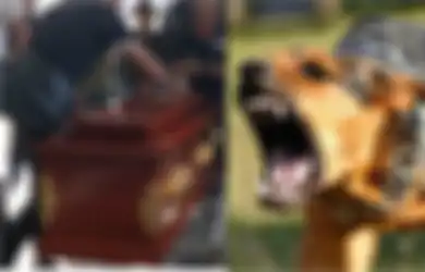 Bocah 5 Tahun Ini Tewas Setelah Sentuh Air Liur Anjing, Sebelum Meninggal Tubuhnya Alami Kondisi Seperti Ini
