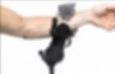 Kasus Wanita Jalani Cangkok Kulit Karena Dicakar Kucing: Jangan Remehkan Cakaran Kucing Jika Anda Tidak Mau Kena 3 Penyakit Mematikan Ini