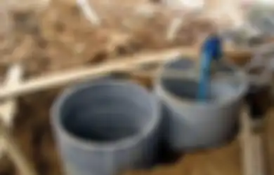 Aneka Tips Harian, Jangan Nyesel Kalau Sampai Tak Tahu, Ini Cara Mencegah Septic Tank agar Tak Tetiba Meledak dan Membahayakan Penghuni Rumah