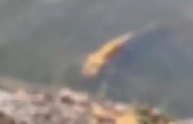 (Video) Ikan 'Berwajah Manusia' Ini Ditemukan di China: 'Ada yang Berani Memakannya?'