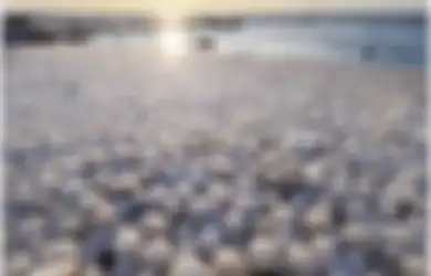 Fenomena Langka, Ribuan 'Telur Beku' Ini Tutupi Permukaan Pantai Finlandia yang Luas, Kok Bisa?