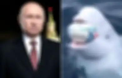 Videonya Bermain Rugby dengan Manusia Viral, Paus Beluga Ini Diduga Agen Rahasia Mata-mata Rusia yang Lepas
