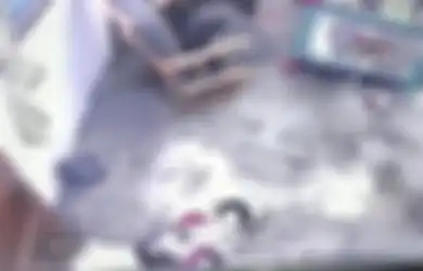 Jika Diartikan Namanya Adalah Catwoman, Kucing Peliharaan Ini Terekam Selamatkan Anak Bayi Majikannya