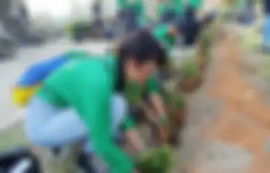 Cara Mudah Donasi Program Tanam Pohon Online Lewat Aplikasi Grab